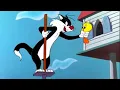 Download Lagu Titi et Grosminet Compilation | Dessin Animé Complet en Francais VF