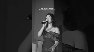 Desert Rose By Noel Kharman 