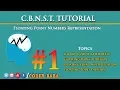 CBNST Tutorial - floating point numbers representation in Hindi