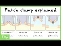Patch Clamp Explained Cell-Attached Whole Cell Inside Out Outside Out Configurations Clip