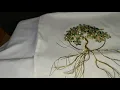 Part 3 B beginner friendly tree of life