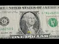 2013 1 Bill - Serial G76146250G Rare or Just Face Value