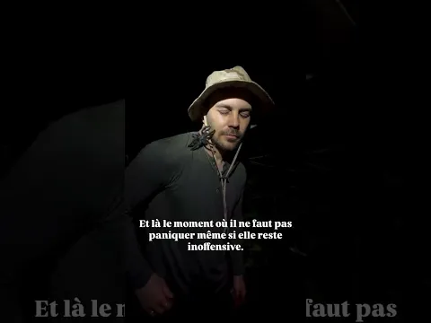 Tu l’aurais fait ? 🕷️😱