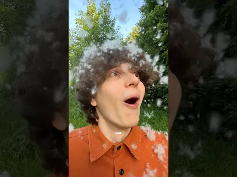 Тополиный пух | тгк: raintop