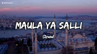 Maula Ya Salli Slowed Mohammed Al Hisayan Vocals Only Eyonyx 