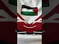 Download Lagu Pray For Palestine #cover #religion #palestine