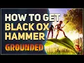 How to get Black Ox Hammer Grounded