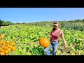 First Pumpkin Patch Harvest Fall Tillage Kickoff 2025