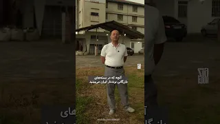 چای ایرانی  چای  لاهیجان دندنها