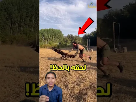 هذا العقاب يحتاج إلى جهاز GPS! 🤣🛰️