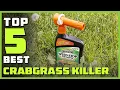 Best Crabgrass Killer in 2024 - Top 5 Crabgrass Killers Review