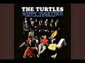 The Turtles - Happy Together (SUPER REMASTERED HQ)