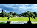 Ngurah Adi - Sing Ngelah Tunangan
