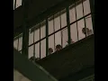 Parcels - Somethinggreater (Alex Metric Remix)