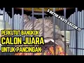 Download Lagu MASTERAN SUARA PERKUTUT BANGKOK JUARA DURASI PANJANG