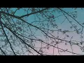 Drifts - A Sleep Playlist from Teen Daze