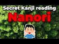 How Japanese Names Change the Rules of Kanji
