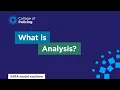 What is analysis explainer 6 Problem solving with the SARA model