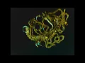 LA POIRE - لابوار
