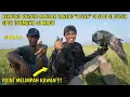 Download Lagu BOYEN Berburu Mandar || Berburu Menggunakan Elang Berontok Putih || Hunting With CHE LM #88
