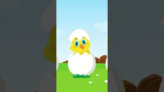 اغنية كتاكيت انا الفرخة و احنا الكتاكيت     اغاني اطفال بيبى    كتاكيت دندنها