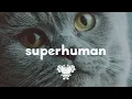 Download Lagu Bishop Briggs - superhuman (lyrics)