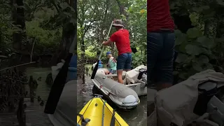 The WORST thing happened when we explored a snake infested mangrove forest 😰 #shorts #boatlife