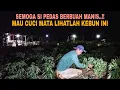 Download Lagu LIHAT KEBUN INI STRES HILANG FIKIRAN TENANG..!! SEMOGA SI PEDAS BERBUAH MANIS
