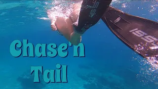 Chase’n Tail🤿 Diving into the Exuma Chain ~ Sailing Honu Time S4E3