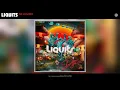 Liquits - No Lo Sabes (Official Audio)