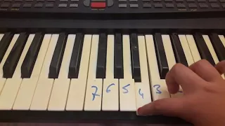 تعلم مقطع قصير من اغنية يا ليلي و يا ليلى 