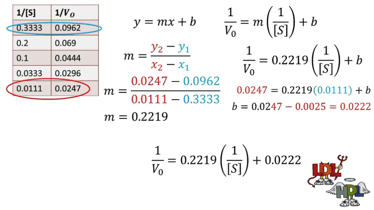 Calculo analítico de una Gráfica de Lineweaver-Burk | Enzimas Parte XXII