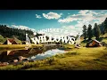 Gavin Adcock - Last One To Know (Lyrics)