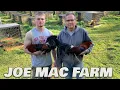 Beautiful Birds Joe Mac Farm Farm Visit