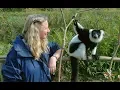 Andasibe - Lemur island of Vakona Forest lodge (Madagascar)