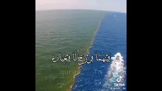 سبحان الله فى خلقه  البحر المتوسط ونهر النيل دندنها