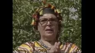                                دندنها