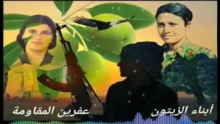 بارين و آفيستا معى اجمل اغنية كردية هدي بسالي داي فاي از تجم شوراشي                 دندنها