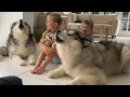 Adorable Kids Teach Their Wolves To Howl Cutest Ever