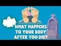 What happens to your body after you die The Stages of Human Decomposition for kids