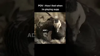 supp main Ifunny lol moments