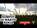 Download Lagu Background rumput bergoyang