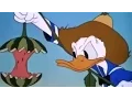 Download Lagu Tecknad film på Svenska Kalle Anka - Kalle Anka Musse Pigg pluto fånig och Vanner tecknad