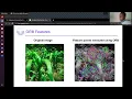 Garden Monitoring Using Computer Vision and Machine Learning Classification Approach
