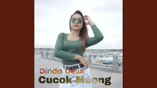 Download Cucok Meong MP3