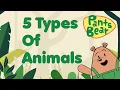 Animal classification for Kids Mammals Birds Reptiles Amphibians Fish Animal Groups