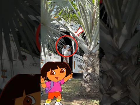 Vimos a Dora la exploradora