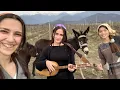 Download Lagu Trio Mandili - Kakhuri