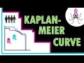 How to interpret KAPLAN-MEIER curves - Easily explained