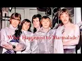 Download Lagu What Happened to Marmalade?